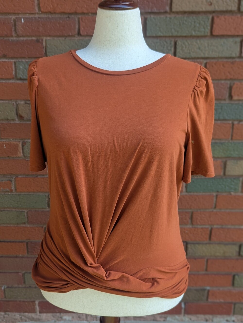 Express 1X Rust Twist Front Puff Sleeve Top | Plus Size